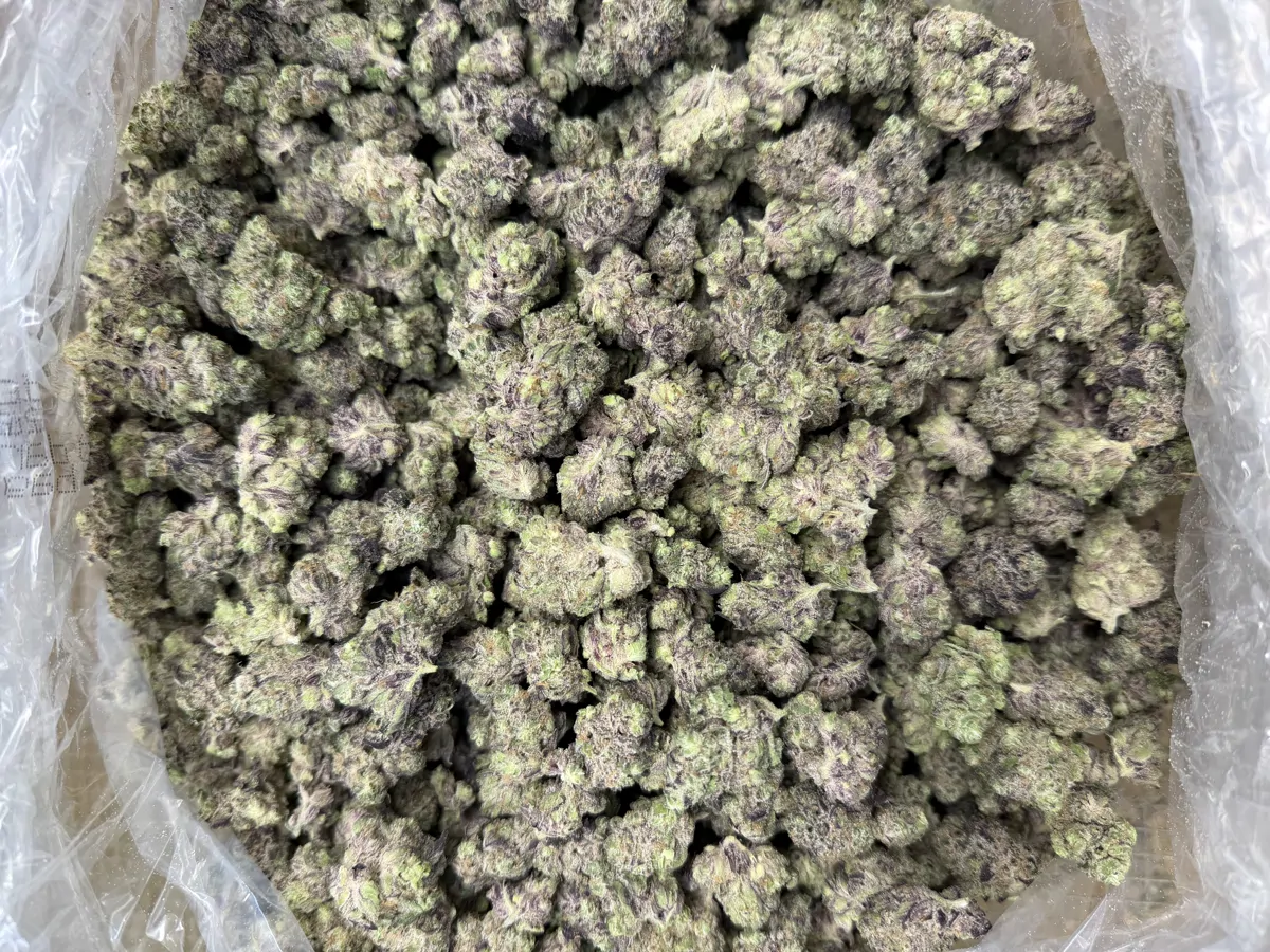 Hashburger Flower